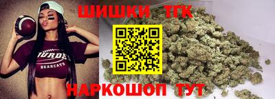 твердый Камышлов