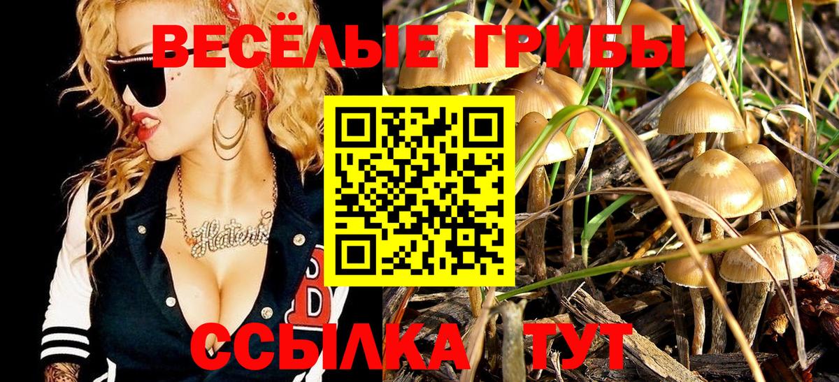 Галлюциногенные грибы прущие грибы  Вход с VPN  Кувандык  Псилоцибиновые грибы GOLDEN TEACHER 