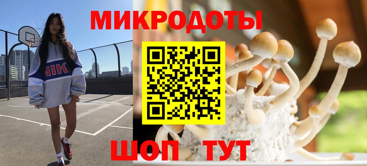 Галлюциногенные грибы прущие грибы Кувандык